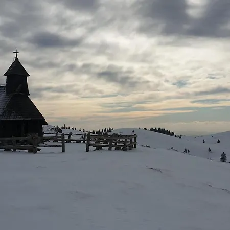 Encijan - Velika Planina Dağ evi *