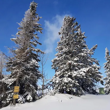 Dağ evi Encijan - Velika Planina *