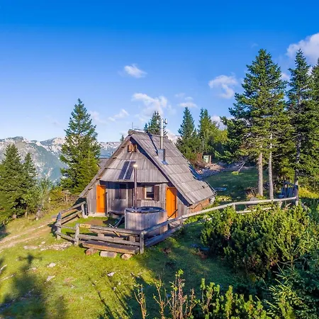Encijan - Velika Planina Dağ evi Stahovica