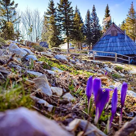 Dağ evi Encijan - Velika Planina *