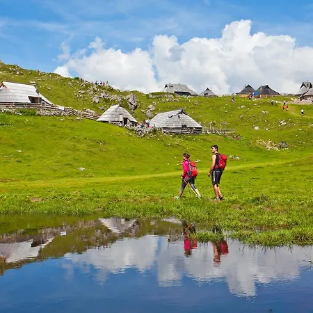 Encijan - Velika Planina *