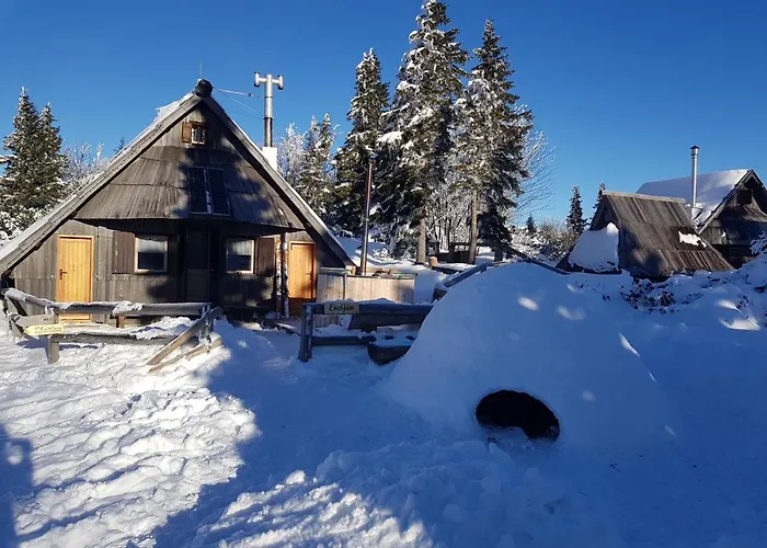 Encijan - Velika Planina Stahovica