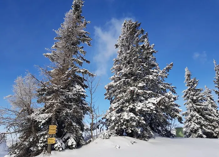 샬레 Encijan - Velika Planina *