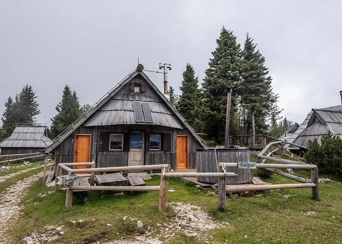 Encijan - Velika Planina *