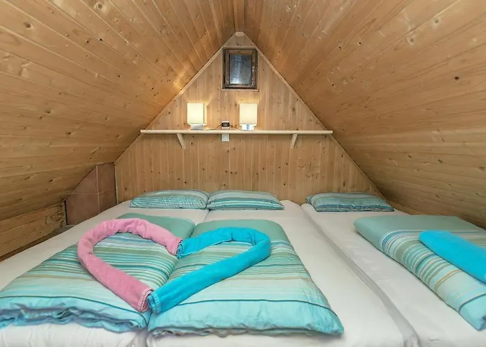 Encijan - Velika Planina