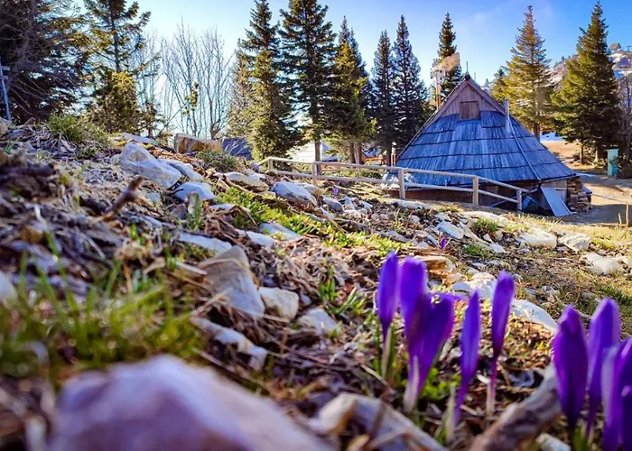 Chalet Encijan - Velika Planina *