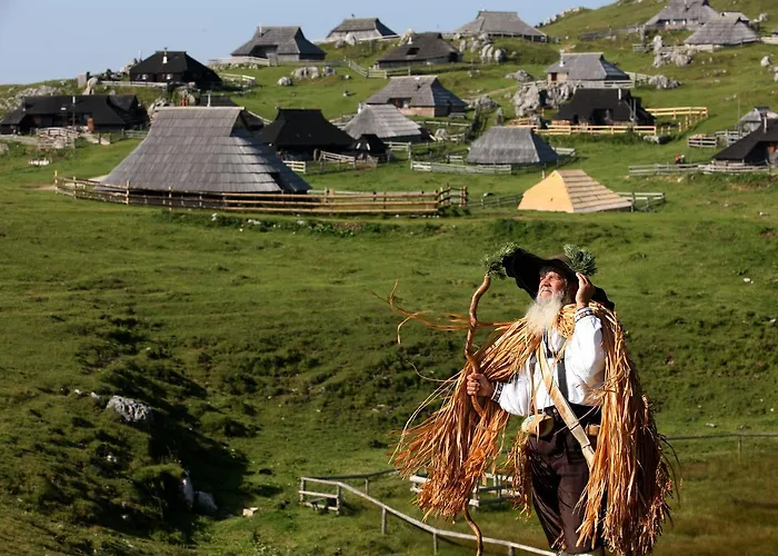 Encijan - Velika Planina 샬레 Stahovica