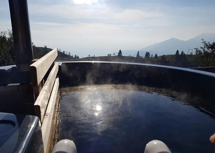 Encijan - Velika Planina Chalet